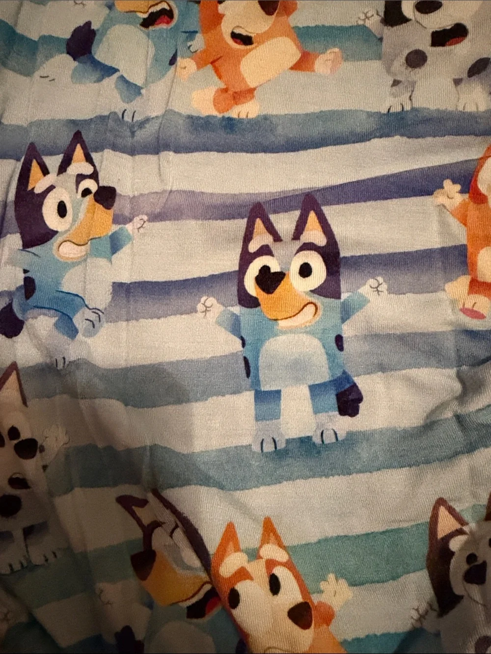 Little sleepies bluey pajamas